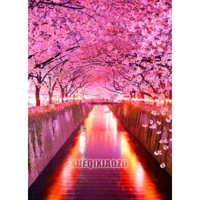 Алеята 25/35 см