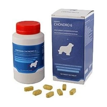 Roboran Chondro 6 pro psy 180 tbl