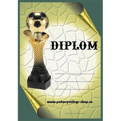 VIZINGR Fotbal diplom A4 č.46