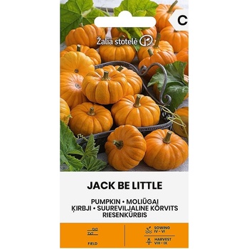 Image 1 of Seklos Тиква Джак Би Литъл Jack be Little