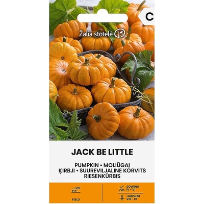 Seklos Тиква Джак Би Литъл Jack be Little