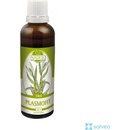 Plasmofit 50 ml