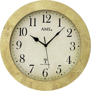 AMS 5560MS