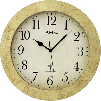 AMS 5560MS