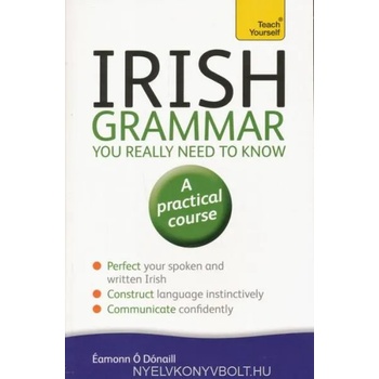 Image 1 of Irish Grammar You Really Need to Know: Teach Yourself