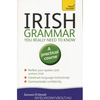 Irish Grammar You Really Need to Know: Teach Yourself