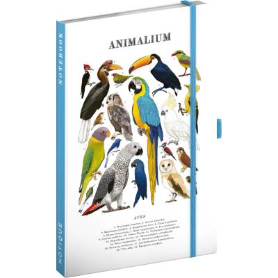 Notes Animalium Ptáci linkovaný