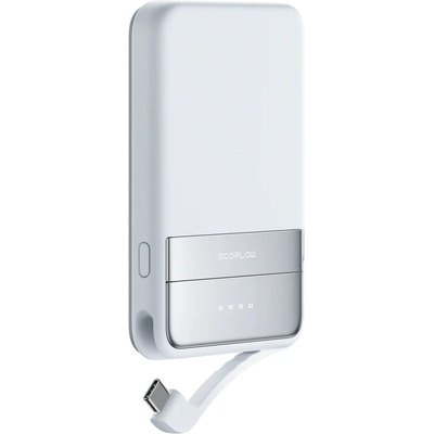 EcoFlow EcoFlow RAPID 736447