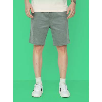 Iriedaily Corvin mintgrey