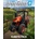 Farming Simulator 22 Kubota Pack