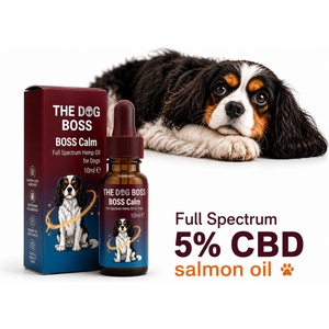 Boss Calm 5% CBD масло за кучета с масло от дива сьомга 10 мл