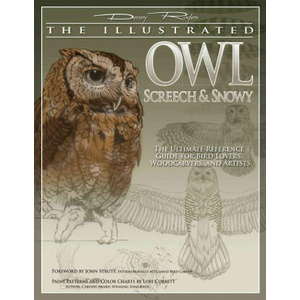 The Illustrated Owl | Denny Rogers (ISBN: 9781565232853)