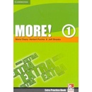 More! Level 1 Extra Practice Book