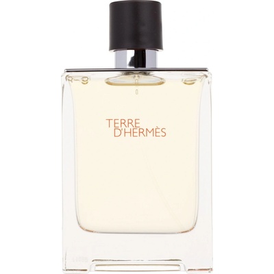 Hermès Terre D'Hermès toaletní voda pánská 100 ml