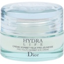 Dior Hydra Life Pro Youth Sorbet Eye Cream 15 ml