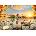 Magnolia - Puzzle Swans near Charles Bridge - 1 000 piese
