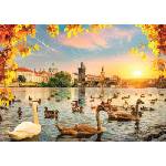 Magnolia - Puzzle Swans near Charles Bridge - 1 000 piese