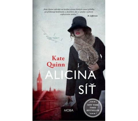 Alicina síť