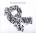 Rules CD