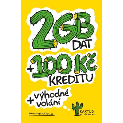 Kaktus 2GB 700674 – Hledejceny.cz