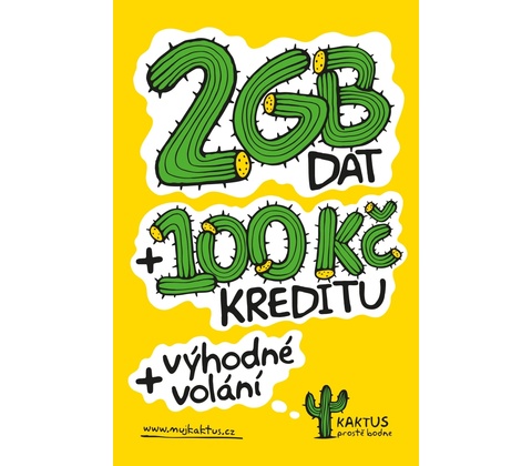 Kaktus 2GB 700674
