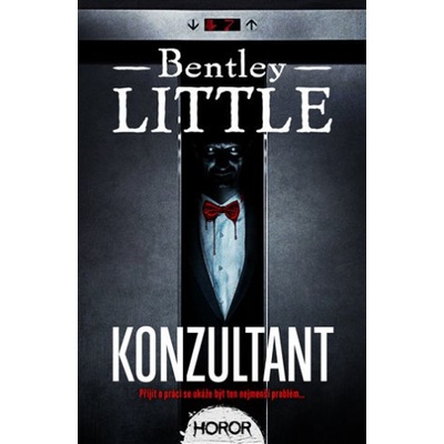 Konzultant