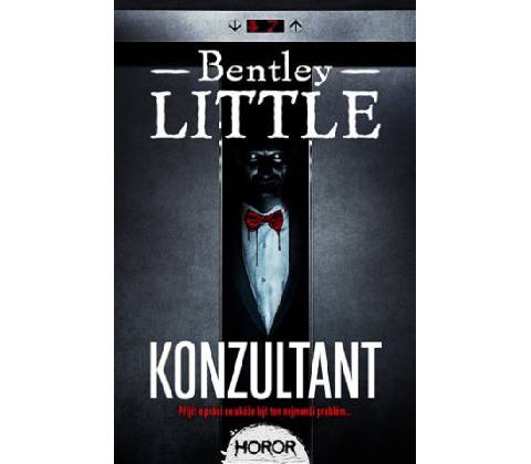 Konzultant