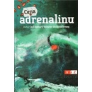 Cena adrenalinu