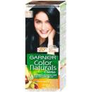 Farby na vlasy Garnier Color Naturals Créme 2,10 Blueberry Black 40 ml