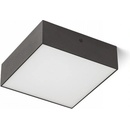 Rendl R12849