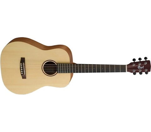 Cort Earth Mini
