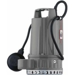 City Pumps Security G30M