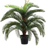 Bizzotto ИЗКУСТВЕНО РАСТЕНИЕ palma cycas 80x80x100 (0172480)
