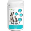 Dromy DERMA 120 tbl