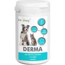 Dromy DERMA 120 tbl