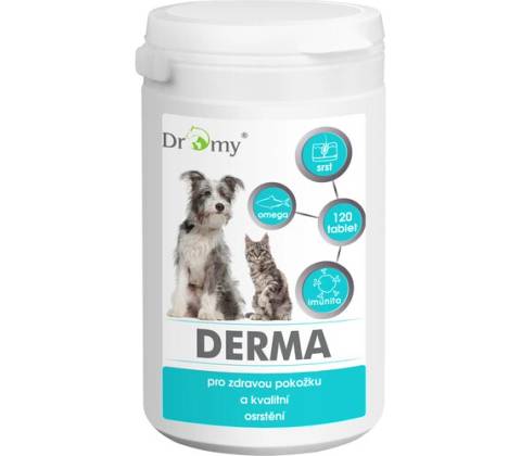 Dromy DERMA 120 tbl