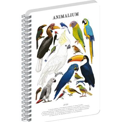 NOTIQUE Špirálový blok Animalium Vtáky čistý A5 – Hledejceny.cz