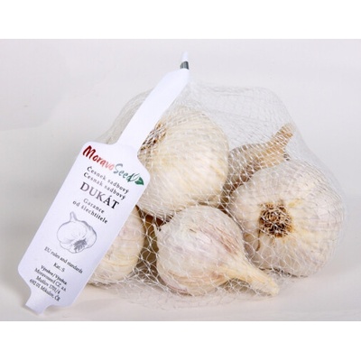 Chemicor Sadbový česnek - DUKÁT 7 - 14 ks cibulí/ cca 500g