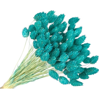 FLOWERIO Sušená tráva Phalaris - Chrastica 80g - azúrová