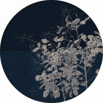 Komar Dots D1-033 Kulatá samolepicí fototapeta Větev s listy průměr ø 125 cm