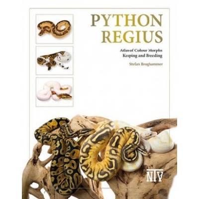 Python regius