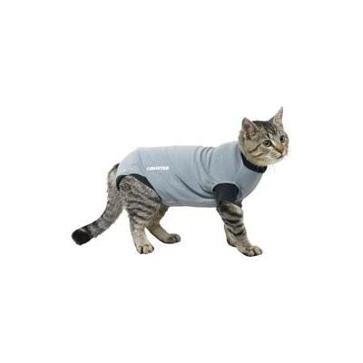 EasyGo Body Cat