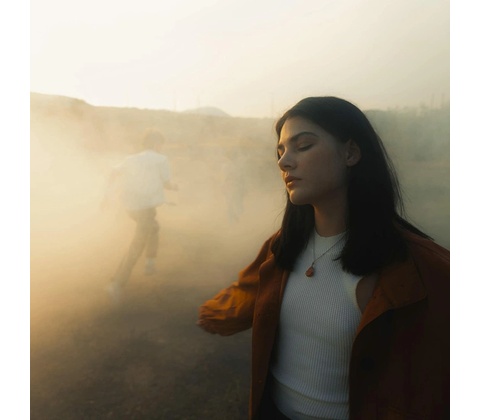 SUNSLEEPER - WHILE YOU CAN LTD. LP