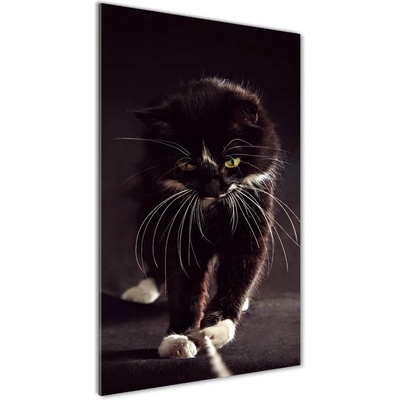 Vertikálny foto obraz sklenený Čierna mačka 50x100 cm
