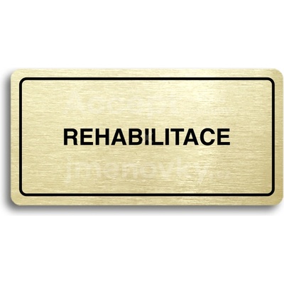 ACCEPT Piktogram REHABILITACE - zlatá tabulka - černý tisk