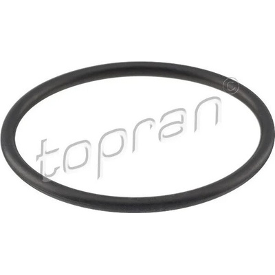 Těsnění, termostat TOPRAN 100 618 (100618)