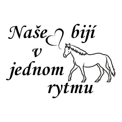 Nažehlovací nápis naše srdce s koněm Vzor: 3, Potisk: černá