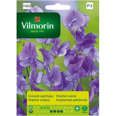Hrachor vonný fialový Vilmorin Premium 2 g