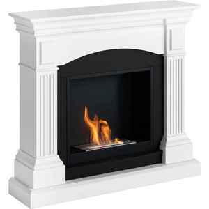 TAGU Magna FreeFlame black Камини