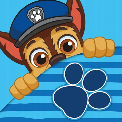 Carbotex · Detský / chlapčenský magický uterák Labková patrola - Paw Patrol - 30 x 30 cm